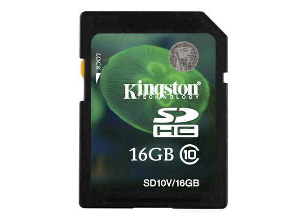 Kingston - flash memory card - 16 GB - SDHC