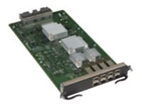 Brocade - expansion module
