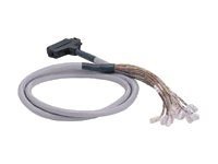 Panduit Data-Patch 10/100/1000BASE-T Cable Assembly - patch cable - 15 ft -