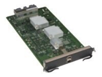 Brocade - expansion module - 2 ports