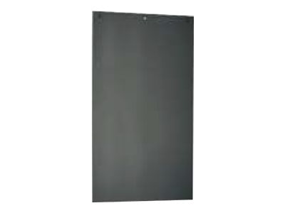 Panduit Net-SERV rack side panel - 42U