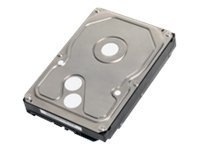 Toshiba MK1002TSKB - hard drive - 1 TB - SATA-300