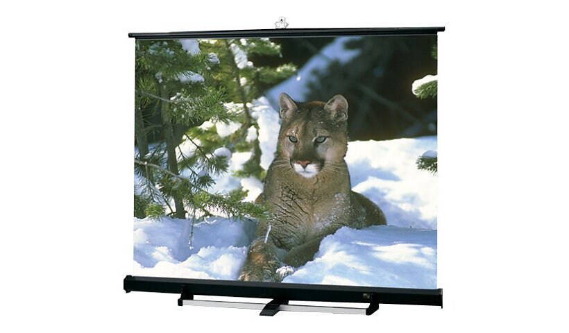 Draper Luma 2/R NTSC/PAL Video Format - projection screen - 120" (120.1 in)