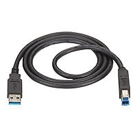 Black Box - USB cable - USB Type A to USB Type B - 6 ft