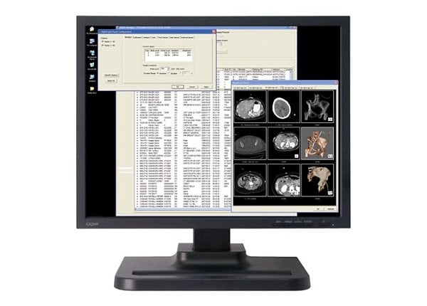 GX2MP Plus Single Color Diagnostic Display Medical Monitor, No Video Card