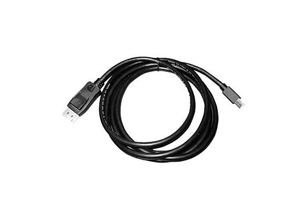 NEC DisplayPort cable