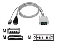 NTI video / USB cable - 15 ft