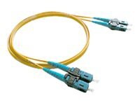 Wirewerks patch cable - 3 m