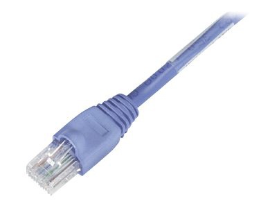 Black Box Backbone Cable network cable - 35 ft - blue