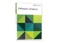VMware vFabric SQLFire Enterprise Edition - license - 1 processor