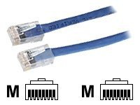 Black Box CAT6 Solid-Conductor Backbone Cable network cable - 10 ft - blue