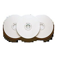 DataLocker EncryptDisc - DVD-R x 100 - 4.7 GB - storage media