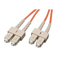 Eaton Tripp Lite Series Duplex Multimode 62.5/125 Fiber Patch Cable (SC/SC), 3M (10 ft.) - network cable - 3.1 m