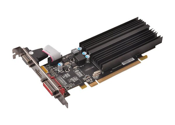 XFX Radeon HD 6450 graphics card - Radeon HD 6450 - 1 GB