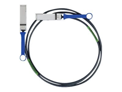 Mellanox Passive Copper Cables - InfiniBand cable - 6.6 ft
