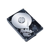 Axiom - hard drive - 2 TB - SATA 6Gb/s