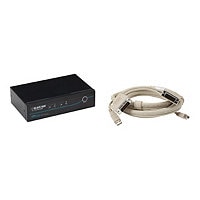 Black Box 2-Port DVI Desktop KVM Switch USB Audio 2-port USB Hub w/2 Cables