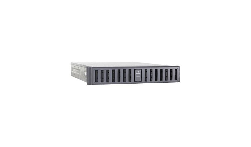 NetApp FAS2040 - network storage server - 12 TB