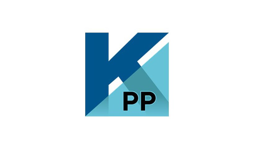 Kofax PaperPort Professional (v. 14) - license - 1 user