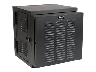 12U Server Rack Cabinet, Switch-Depth, Wall-Mount