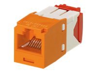 Panduit MINI-COM TX-5e - modular insert