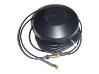 AntennaPlus cellular modem antenna