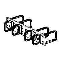 Panduit Open-Access Horizontal Cable Manager - cable management panel - 2U - 19"