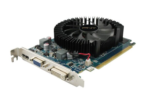 PNY GeForce GT 630 graphics card - GF GT 630 - 2 GB