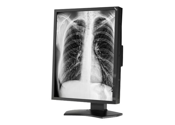 NEC MD211G3 - LCD monitor - 3MP - grayscale - 21.3"