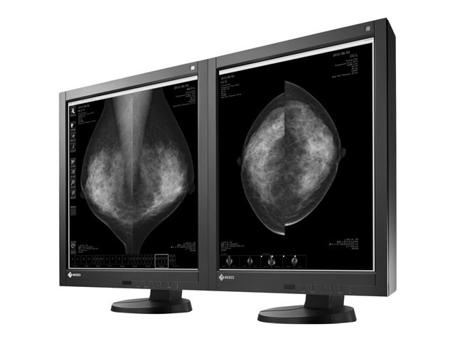 EIZO RadiForce GX540CLP - LED monitor - 5MP - grayscale - 21.3"