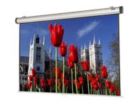Da-Lite Easy Install Manual with CSR Square Format - projection screen - 133 in (133.1 in)