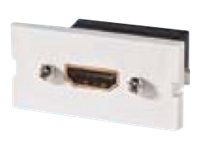 Ortronics Series II modular insert