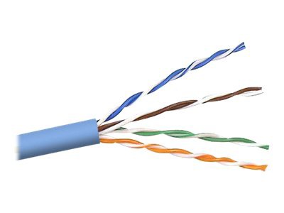 Belkin bulk cable - 1000 ft - blue