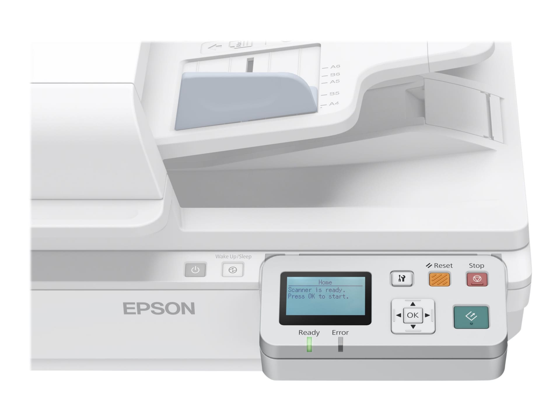 Epson Network Scan Module - scanner server - 10/100 Ethernet