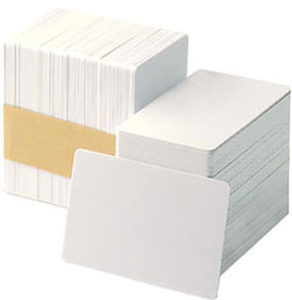 Zebra - cards - 500 card(s) - CR-80 Card (3.37 in x 2.13 in)