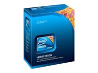 Intel Xeon E3-1225 / 3.1 GHz processor