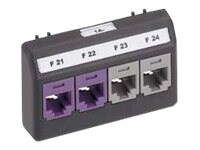 Panduit MINI-COM Ultimate ID Modular Furniture Faceplate - faceplate