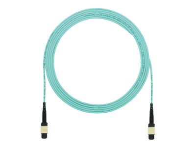 Panduit QuickNet MTP Interconnect Cable Assemblies - patch cable - 15.2 m -