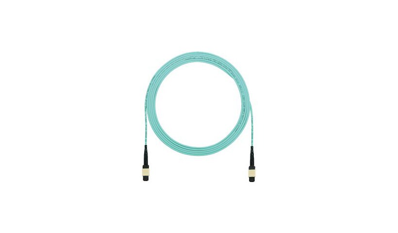Panduit QuickNet MTP Interconnect Cable Assemblies - patch cable - 15.2 m -