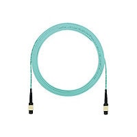 Panduit QuickNet MTP Interconnect Cable Assemblies - patch cable - 10.7 m -