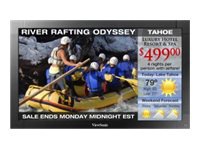 ViewSonic CDP3235 - 32" Class ( 31.5" viewable ) LCD flat panel display