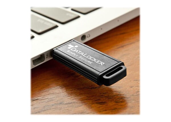 DataLocker Sentry DLSF16 - USB flash drive - 16 GB