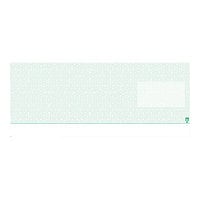 TROY SECURITY Check Paper - Check Bottom - blank checks -