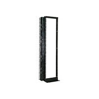 Great Lakes Two Post Rack - rack - 45U