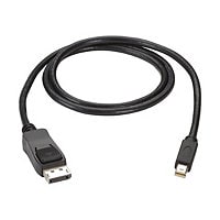 Black Box DisplayPort cable - 6 ft