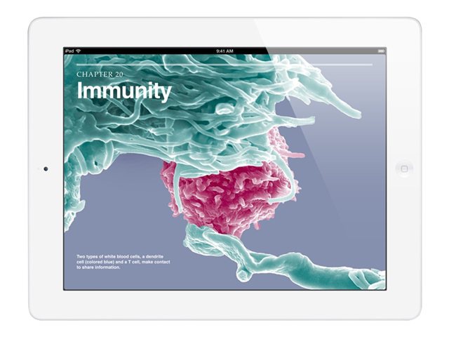 Apple iPad with Retina display Wi-Fi + Cellular - 4th generation - tablet - 32 GB - 9.7" - 3G, 4G - AT&T