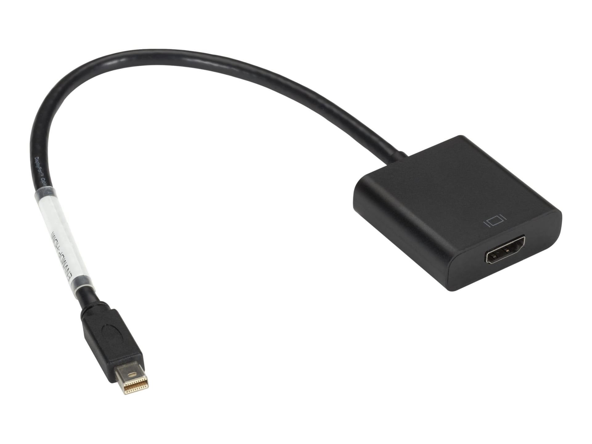 Black Box adapter - DisplayPort / HDMI - 1 ft