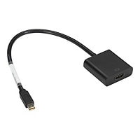 Black Box adapter - DisplayPort / HDMI - 1 ft