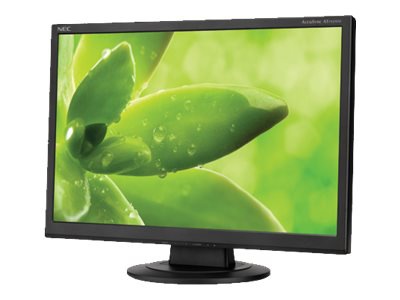NEC AccuSync AS192WM-BK - LED monitor - 19"