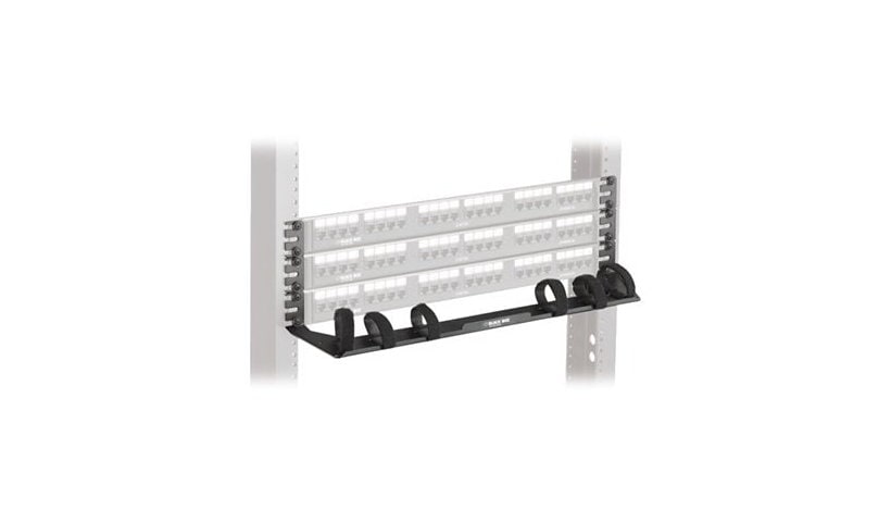 Black Box rack cable management panel - 0U